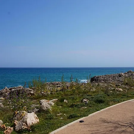 Villa Cas Bufador S'Illot (Mallorca)